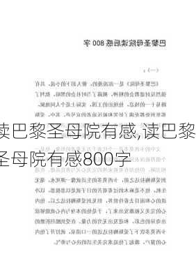 读巴黎圣母院有感,读巴黎圣母院有感800字-第3张图片-二喜范文网