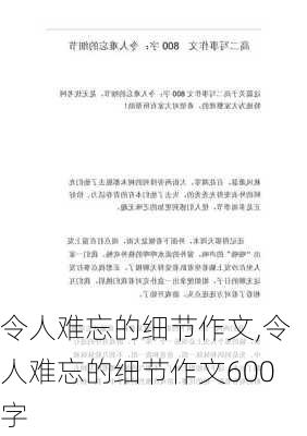 令人难忘的细节作文,令人难忘的细节作文600字-第2张图片-二喜范文网