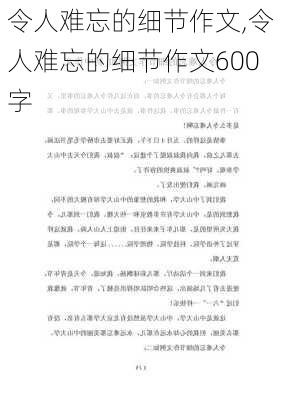 令人难忘的细节作文,令人难忘的细节作文600字-第1张图片-二喜范文网