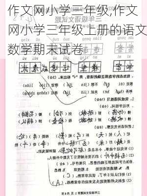 作文网小学三年级,作文网小学三年级上册的语文数学期末试卷-第2张图片-二喜范文网