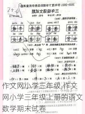 作文网小学三年级,作文网小学三年级上册的语文数学期末试卷