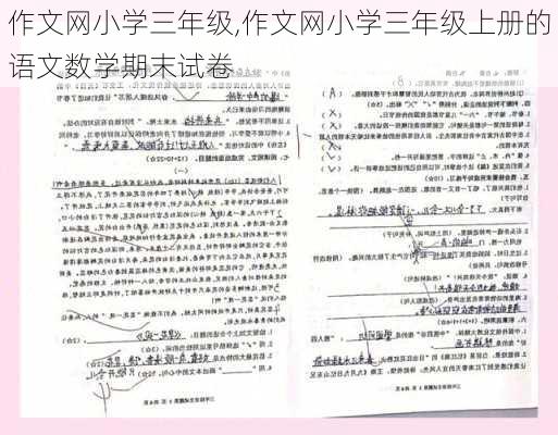 作文网小学三年级,作文网小学三年级上册的语文数学期末试卷-第3张图片-二喜范文网