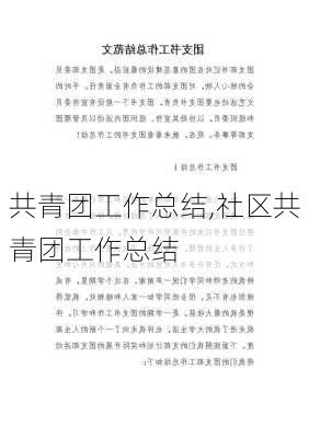 共青团工作总结,社区共青团工作总结-第2张图片-二喜范文网