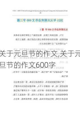 关于元旦节的作文,关于元旦节的作文600字-第1张图片-二喜范文网