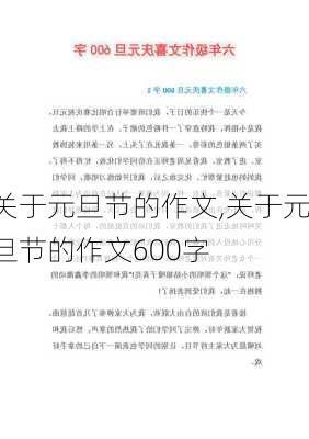 关于元旦节的作文,关于元旦节的作文600字-第2张图片-二喜范文网