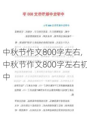 中秋节作文800字左右,中秋节作文800字左右初中-第1张图片-二喜范文网