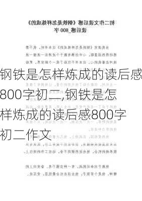 钢铁是怎样炼成的读后感800字初二,钢铁是怎样炼成的读后感800字初二作文