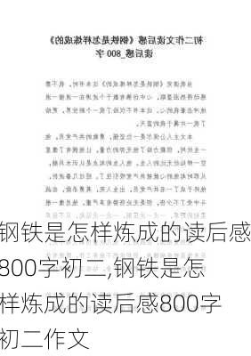 钢铁是怎样炼成的读后感800字初二,钢铁是怎样炼成的读后感800字初二作文