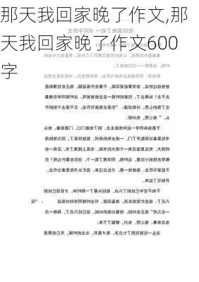 那天我回家晚了作文,那天我回家晚了作文600字-第2张图片-二喜范文网