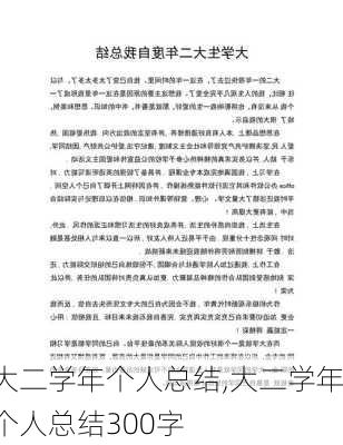 大二学年个人总结,大二学年个人总结300字-第1张图片-二喜范文网