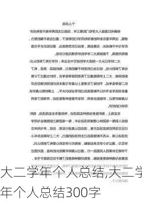 大二学年个人总结,大二学年个人总结300字-第3张图片-二喜范文网