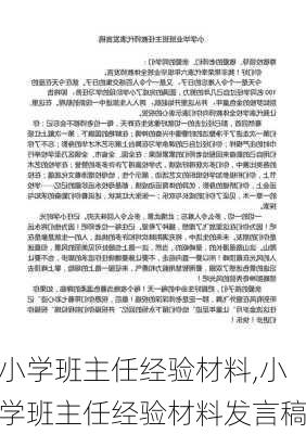 小学班主任经验材料,小学班主任经验材料发言稿-第3张图片-二喜范文网