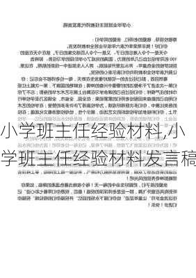 小学班主任经验材料,小学班主任经验材料发言稿-第3张图片-二喜范文网