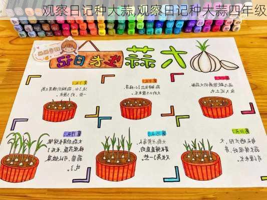 观察日记种大蒜,观察日记种大蒜四年级-第2张图片-二喜范文网