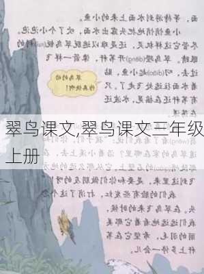 翠鸟课文,翠鸟课文三年级上册