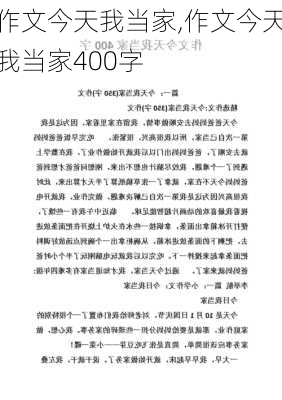 作文今天我当家,作文今天我当家400字-第3张图片-二喜范文网