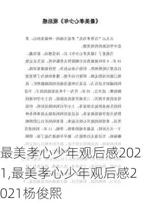 最美孝心少年观后感2021,最美孝心少年观后感2021杨俊熙-第3张图片-二喜范文网