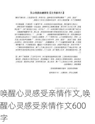 唤醒心灵感受亲情作文,唤醒心灵感受亲情作文600字-第2张图片-二喜范文网