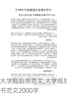 大学规划书范文,大学规划书范文2000字-第3张图片-二喜范文网