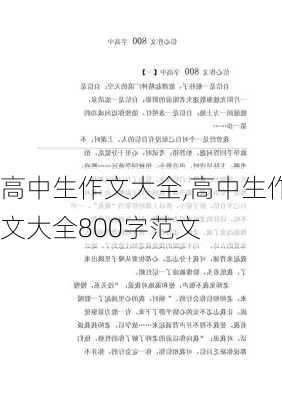 高中生作文大全,高中生作文大全800字范文-第3张图片-二喜范文网