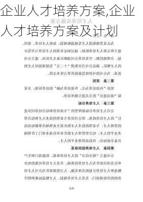 企业人才培养方案,企业人才培养方案及计划-第2张图片-二喜范文网