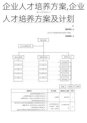 企业人才培养方案,企业人才培养方案及计划-第1张图片-二喜范文网