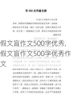 假文盲作文500字优秀,假文盲作文500字优秀作文