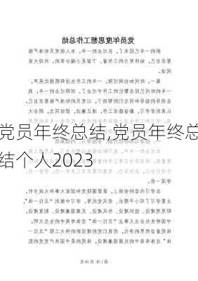 党员年终总结,党员年终总结个人2023-第3张图片-二喜范文网