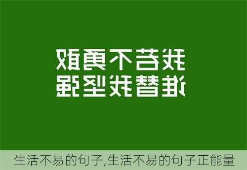 生活不易的句子,生活不易的句子正能量-第2张图片-二喜范文网