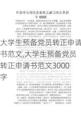 大学生预备党员转正申请书范文,大学生预备党员转正申请书范文3000字-第1张图片-二喜范文网