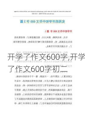 开学了作文600字,开学了作文600字初二-第2张图片-二喜范文网