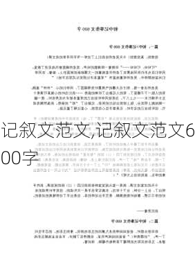 记叙文范文,记叙文范文600字