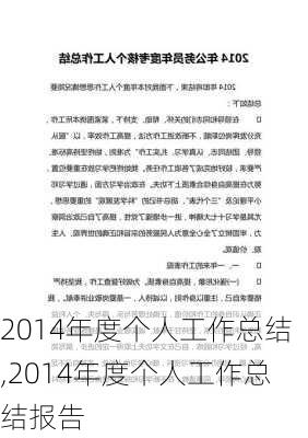 2014年度个人工作总结,2014年度个人工作总结报告-第1张图片-二喜范文网