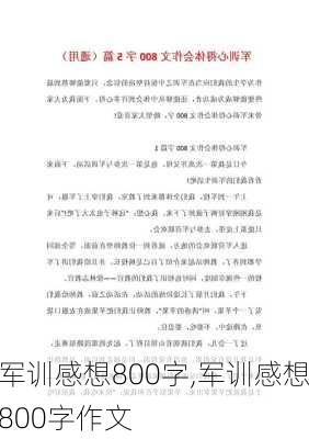 军训感想800字,军训感想800字作文-第3张图片-二喜范文网