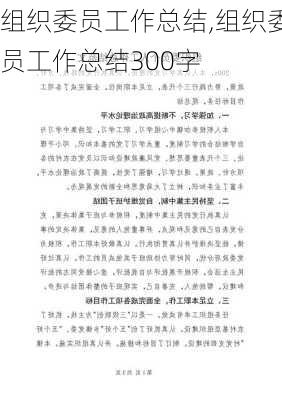 组织委员工作总结,组织委员工作总结300字