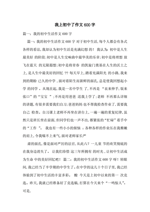 我上中学了作文,我上中学了作文600字-第2张图片-二喜范文网