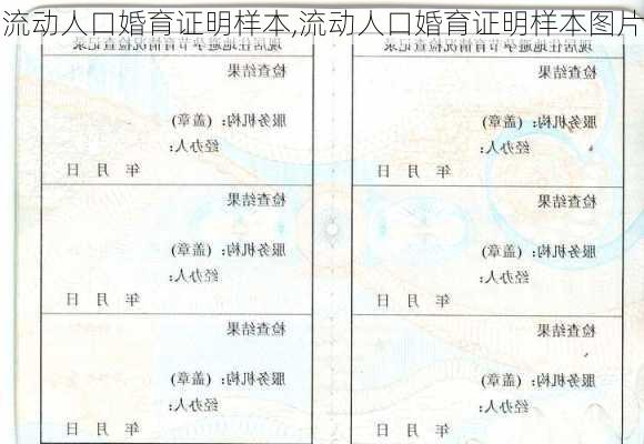 流动人口婚育证明样本,流动人口婚育证明样本图片-第2张图片-二喜范文网