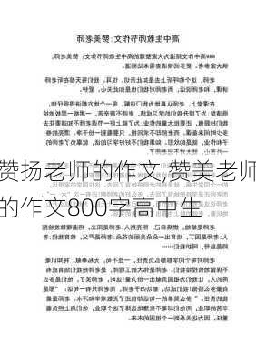 赞扬老师的作文,赞美老师的作文800字高中生