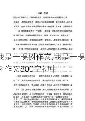 我是一棵树作文,我是一棵树作文800字初中-第2张图片-二喜范文网