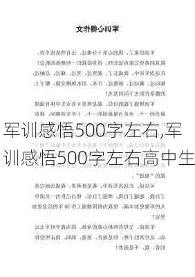 军训感悟500字左右,军训感悟500字左右高中生-第1张图片-二喜范文网