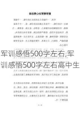 军训感悟500字左右,军训感悟500字左右高中生-第2张图片-二喜范文网