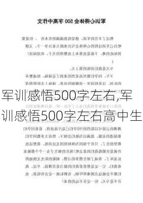 军训感悟500字左右,军训感悟500字左右高中生-第3张图片-二喜范文网