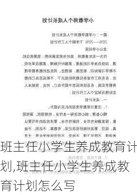 班主任小学生养成教育计划,班主任小学生养成教育计划怎么写-第3张图片-二喜范文网