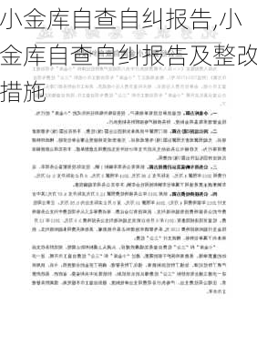 小金库自查自纠报告,小金库自查自纠报告及整改措施-第2张图片-二喜范文网