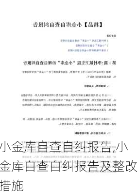 小金库自查自纠报告,小金库自查自纠报告及整改措施-第3张图片-二喜范文网