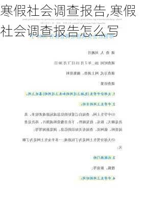 寒假社会调查报告,寒假社会调查报告怎么写-第1张图片-二喜范文网