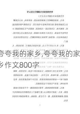 夸夸我的家乡,夸夸我的家乡作文800字-第3张图片-二喜范文网