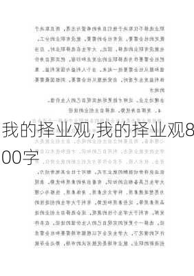 我的择业观,我的择业观800字-第2张图片-二喜范文网