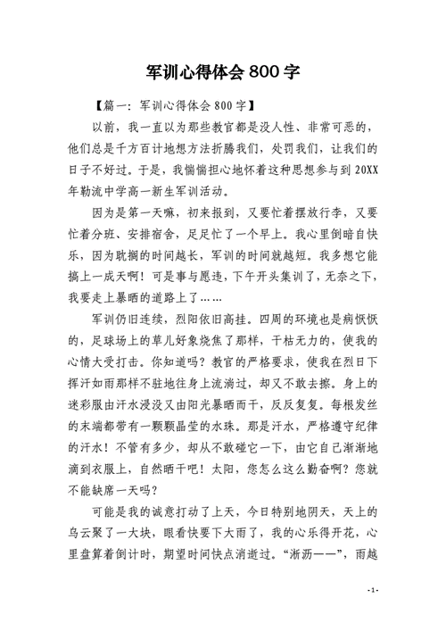 大学生军训感言,大学生军训感言800字-第2张图片-二喜范文网