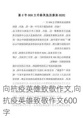 向抗疫英雄致敬作文,向抗疫英雄致敬作文600字-第1张图片-二喜范文网